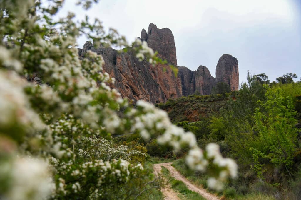 Actividades en Aragón en primavera: naturaleza y aventura para todos