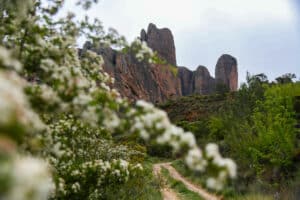 Actividades en Aragón en primavera: naturaleza y aventura para todos