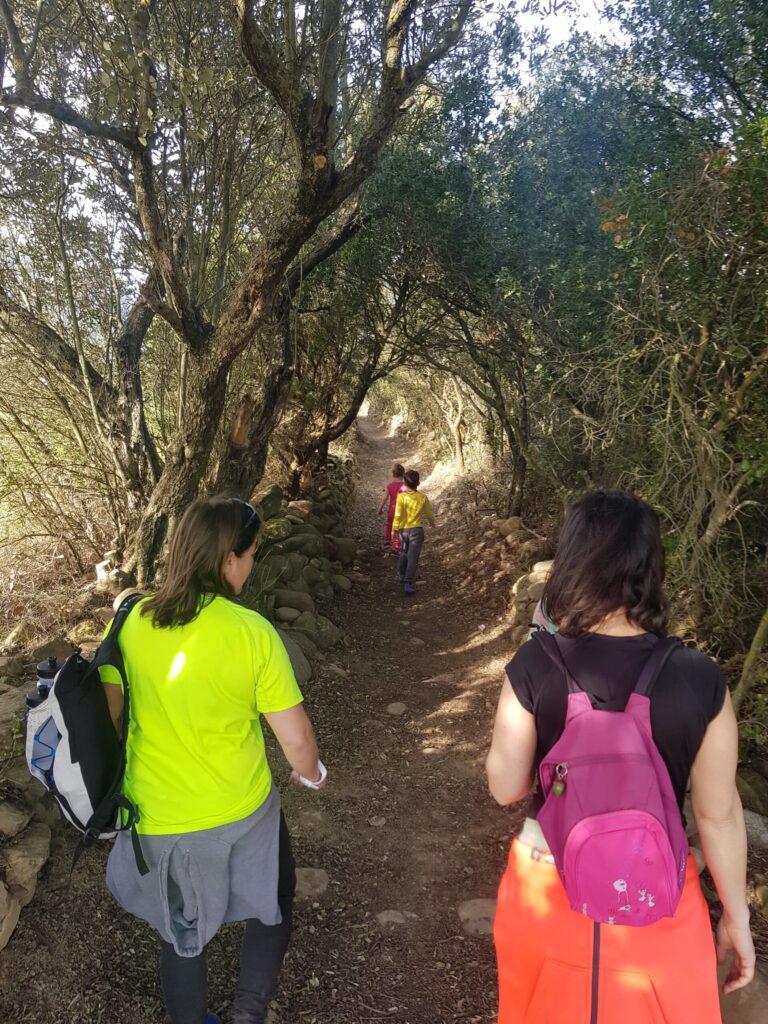 rutas-senderismo-murillo-de-gallego|Excursión Reino de los mallos|recorridos-y-excursiones-murillo-de-gallego|senderismo-murillo-de-gallego|rafting