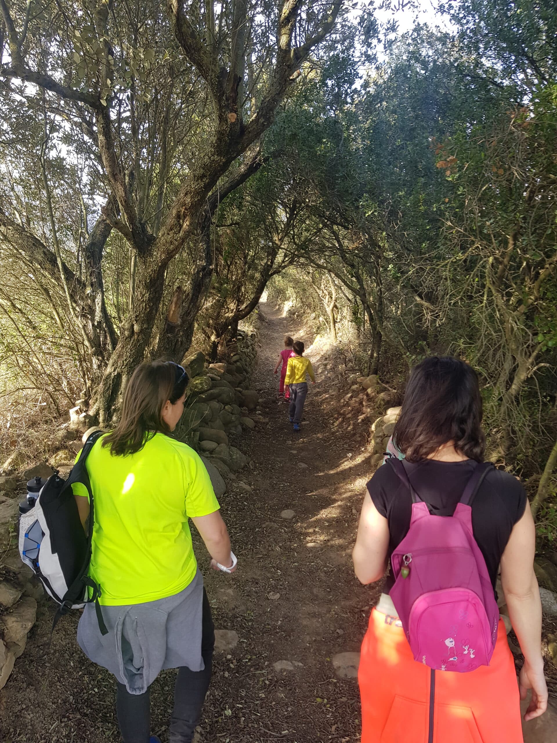 rutas-senderismo-murillo-de-gallego|Excursión Reino de los mallos|recorridos-y-excursiones-murillo-de-gallego|senderismo-murillo-de-gallego|rafting